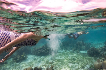 Woman snorkeling, Turneffe Atoll, Belize Barrier Reef, Belize - 269423121