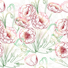 Beautiful colorful seamless pattern with Poppy flowers . Vector illustration. EPS 10