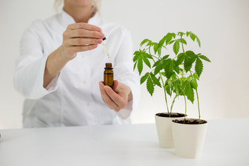 Scientist holding a bowl with cbd oil