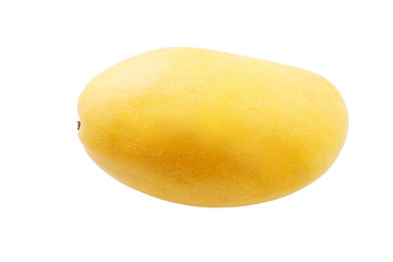 Single fresh whole mango fruit isolated on a white background
