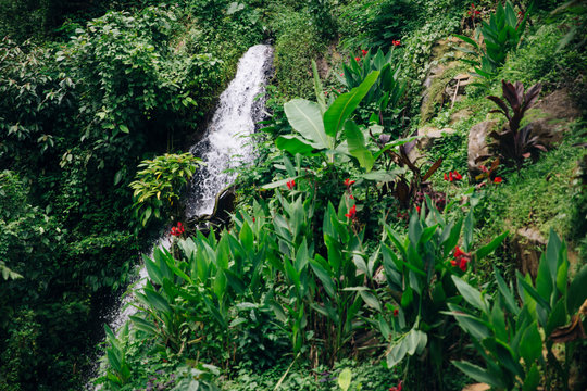 Gitgit waterfall at Bali, Indonesia