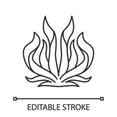 Century plant linear icon