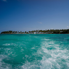 Wake formation in the sea with beach in the background, Half Moon Caye, Lighthouse Reef Atoll, Belize