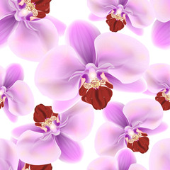 Beautiful colorful seamless pattern with Orchid flowers . Vector illustration. EPS 10