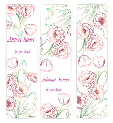 Set backgrounds with flowers Poppy. Vector illustration, EPS 10