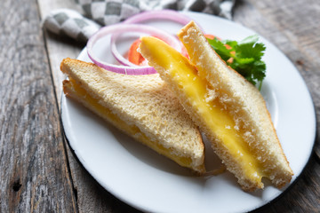 Grilled cheese sandwich with tomato and onion