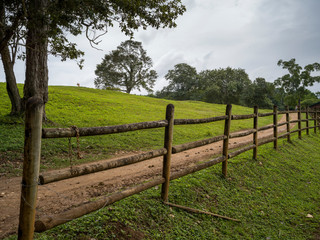 Fototapeta na wymiar Fence along path, Chaa Creek Road, Chaa Creek Nature Reserve, San Ignacio, Belize