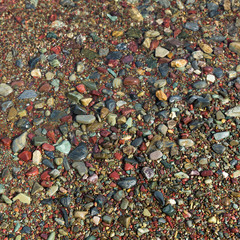Elevated view of stones, Waterton Lakes National Park, Alberta, Canada
