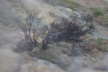 A small valley of geysers near the Mutnovsky geo power station in Kamchatka