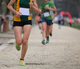 athletes taking part in a cross-country race