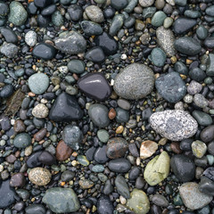 High angle view of pebbles on Spiral Beach, Victoria, British Columbia, Canada