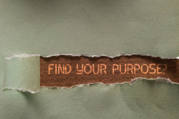 Word writing text Find Your Purpose question. Business photo showcasing reason for something is...