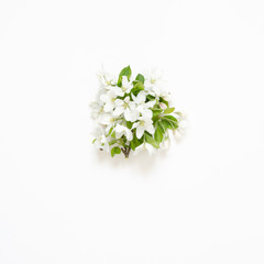 Fototapeta premium Branch blooming apple tree on white background. Mockup. View from above. - Image