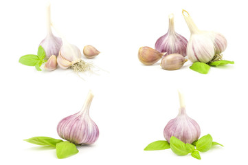 Collage of Garlic clove isolated on a white background cutout