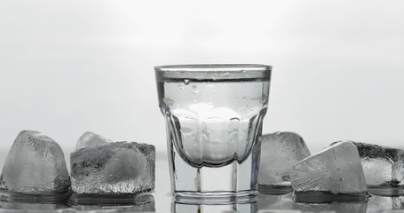 Shot of vodka in glass. White background