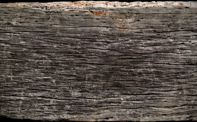 Old wooden background, old tree
