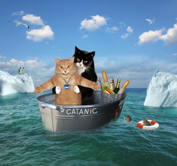 The two brave cats are drifting in the steel washtub among the icebergsin the sea. Their ship is called Catanic. - obrazy, fototapety, plakaty