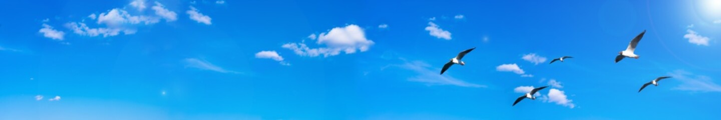Creative layout with a huge copy space. Background made of bright blue sky with sun, white clouds...