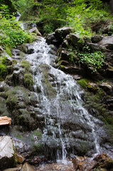 waterfall in forest