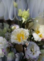 a bouquet of red white flowers made up in a beautiful composition.