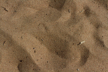 sand on the beach lit by the sun