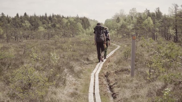 People hiking outdoors in wild nature. Swedish bog in early summer.