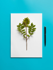 Mockup blank paper and branch with green leaves and black pen on a blue background.
