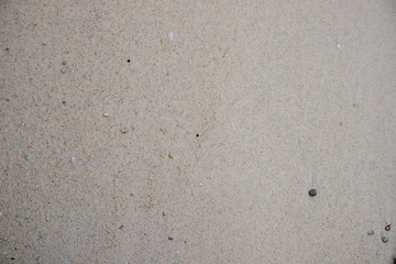 White sand photo. Seashore sand beach texture. Ocean coast top view. Seaside natural backdrop. Smooth sand with coral