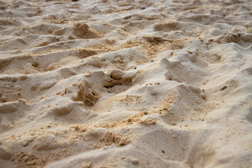 Dry yellow sand. Seashore sand beach. Ocean coast perspective view photo. Seaside natural backdrop