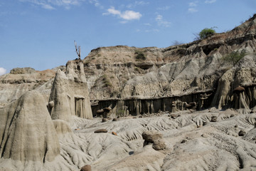 Desert gris de Tatacoa 1