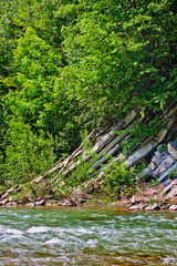 Mountain river Prut in the Ukrainian Carpathians