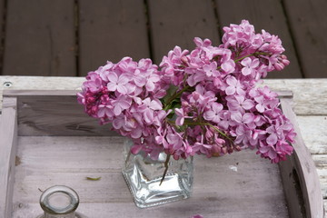 A still life of fragrant purple Lilacs in a vase.