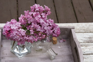 A still life of fragrant purple Lilacs in a vase.