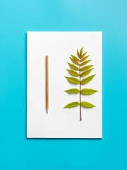 Mockup blank paper and branch with green leaves and pencil on a blue background.