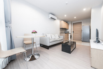 Modern living room interior