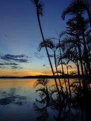 Sunset over an Amazonian lagoon