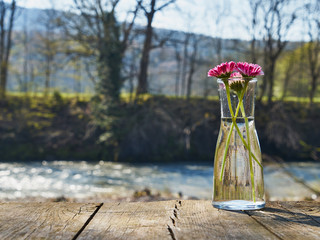 Image of a glass flask with flowers.