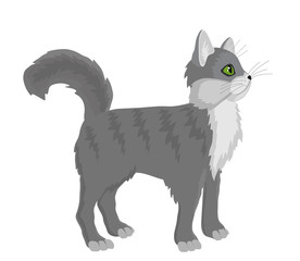 Gray beautiful cat on a white background. Vector illustration. 