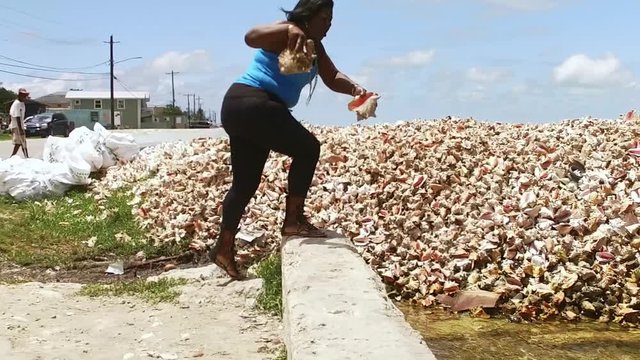 The Original Bahama Mama Holding Conch Shell, Conch Shell Palace,  West End Grand Bahama, Bahamas
