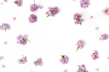 frame with lilac petals on white background. flat lay, overhead view