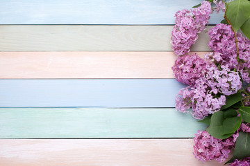 Spring Lilac flowers on pastel wooden background with copy space. Top view, flat lay