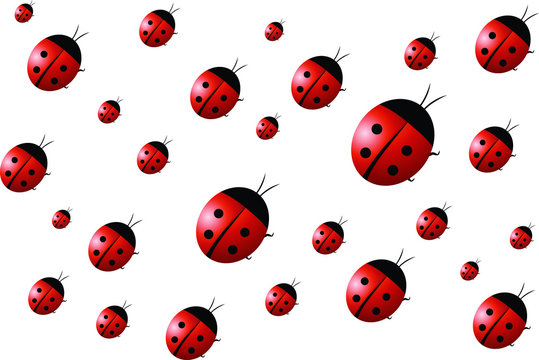 Ladybug seamless pattern vector image