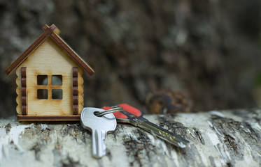 Wooden house with keys on the background of wooden logs