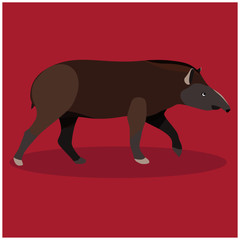 Tapir illustration
