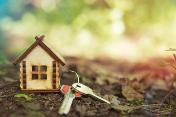 Wooden house with keys on the ground on a natural background