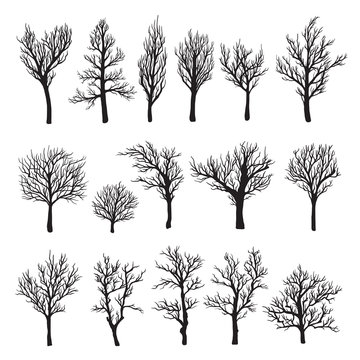 Trees without leaves black graphic silhouette icon