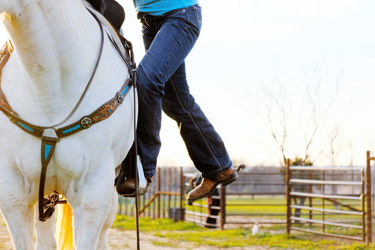 Western lifestyle shows girl in cowboy boots mounting gray horse to go horseback riding.