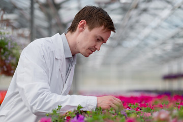 A young man in a white coat, a scientist biologist or agronomist examines and analyzes the flowers...