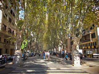 PALMA, SPAIN - September 23, 2016:  Palma is on the south coast of Mallorca on the Bay of Palma, in Spain. It serves over 29 million airline and cruise ship passengers per year. © dbvirago