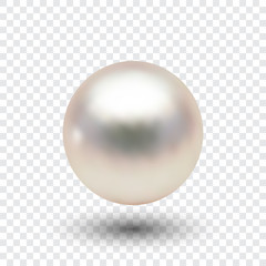  Abstract gray background with pearl and shadow
